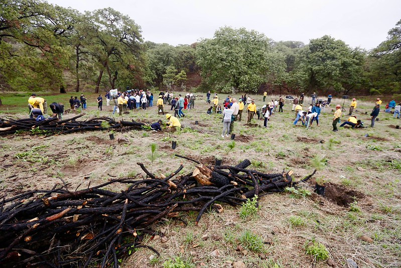 Más de 3 mil voluntarios participarán en las jornadas de reforestación del Bosque La Primavera