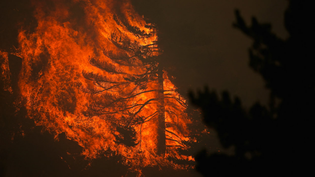 Ola de calor extrema agrava incendios forestales en España