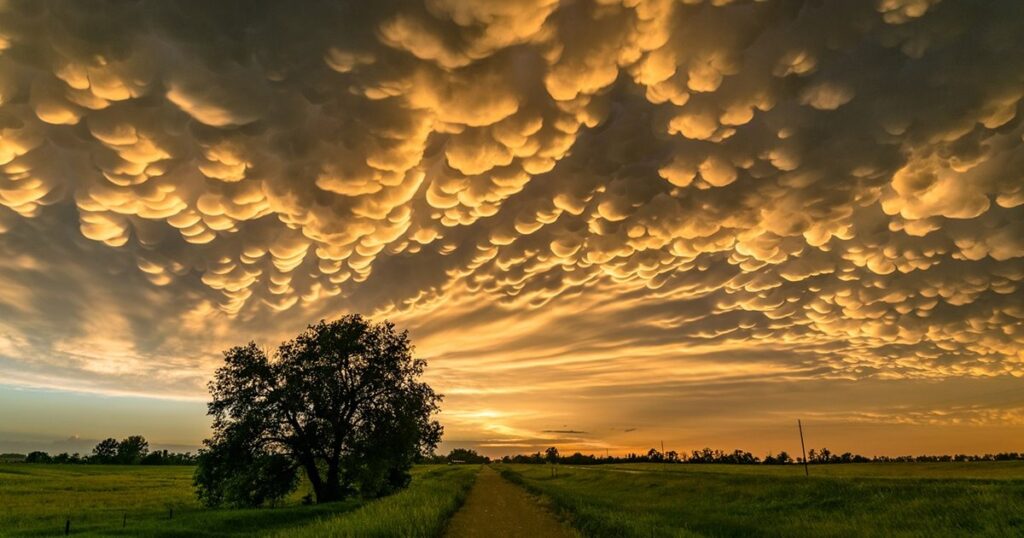¿Qué son las nubes mammatus? El fenómeno que transforma el cielo durante las tormentas