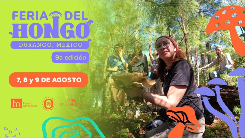 Pueblo Nuevo alista la novena Feria del Hongo