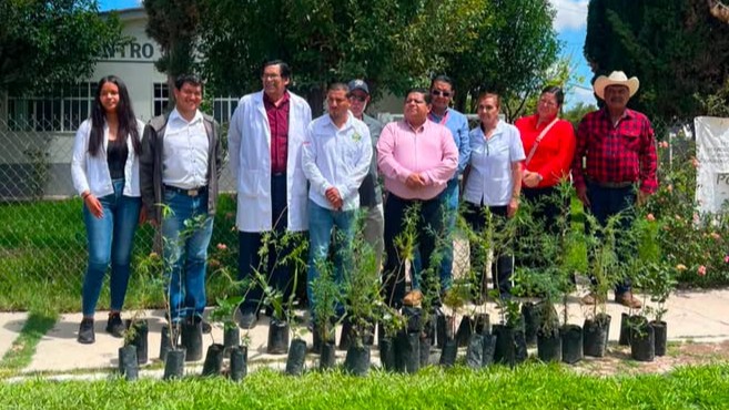 Reforestan área verde del Centro de Salud de Gabriel Hernández