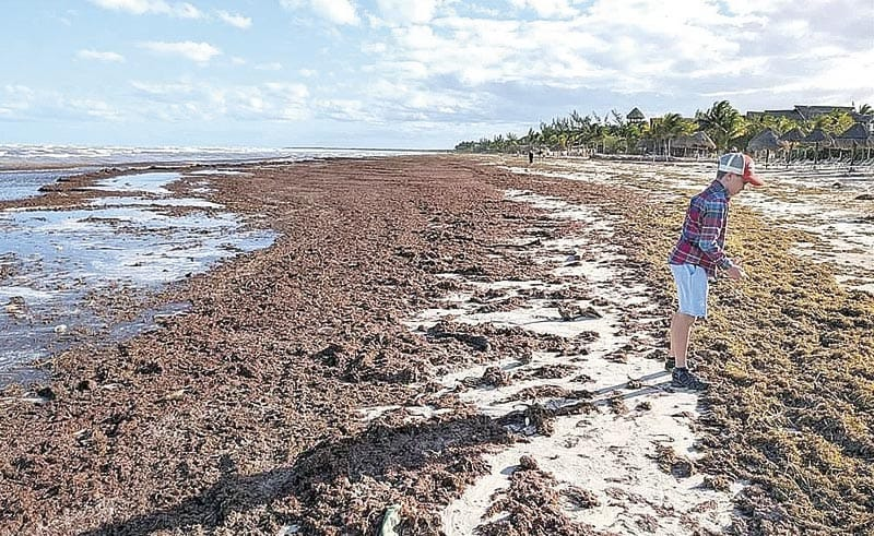 Sargazo y baja demanda frenan al turismo en el Caribe mexicano