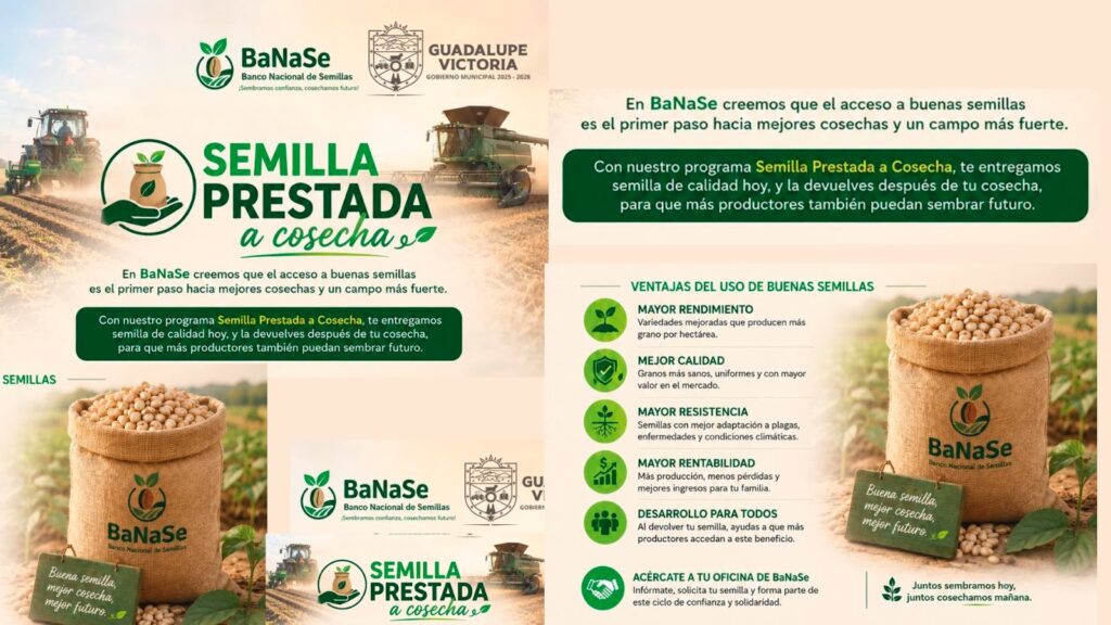 GV presentará el programa “Semilla Prestada a Cosecha” para fortalecer la producción agrícola