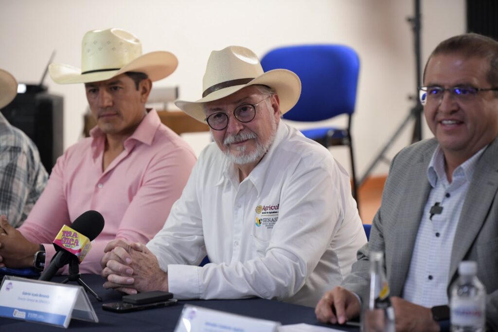 Arranca en Chihuahua liberación de mosca estéril contra el Gusano Barrenador