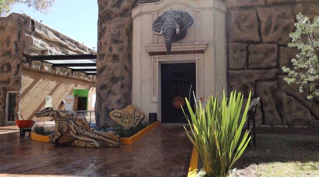 Zoológico Sahuatoba prepara curso de verano infantil