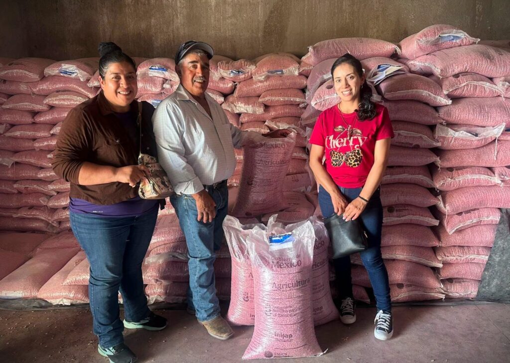 Alimentación para el Bienestar comprará frijol producido con semilla certificada de SADER