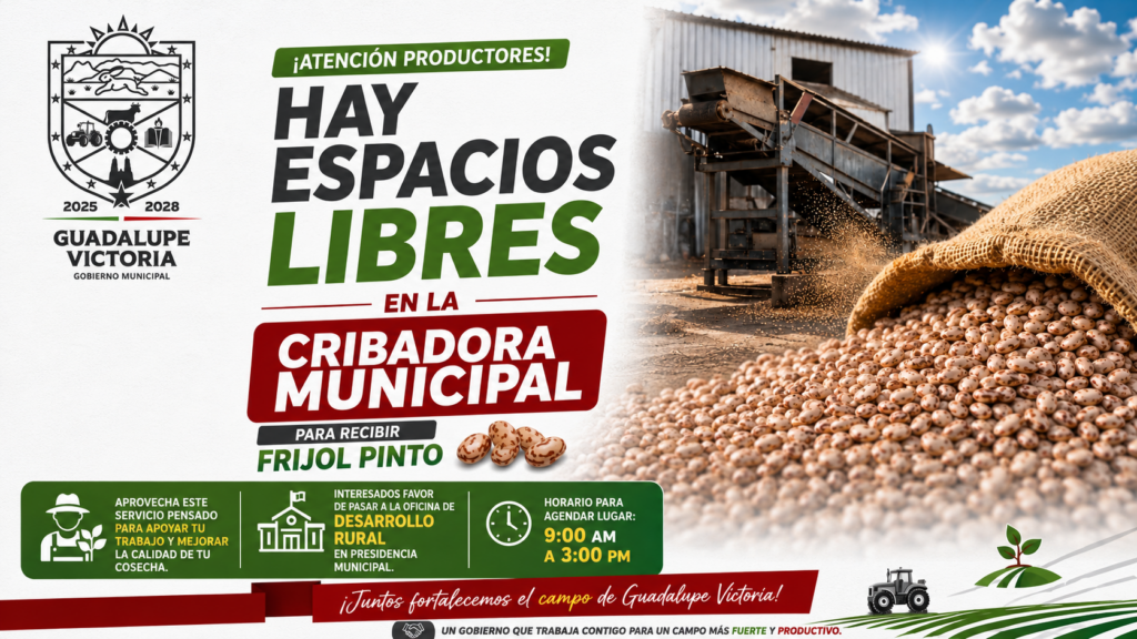 Aún hay espacios disponibles en la Cribadora Municipal para recibir frijol pinto en GV