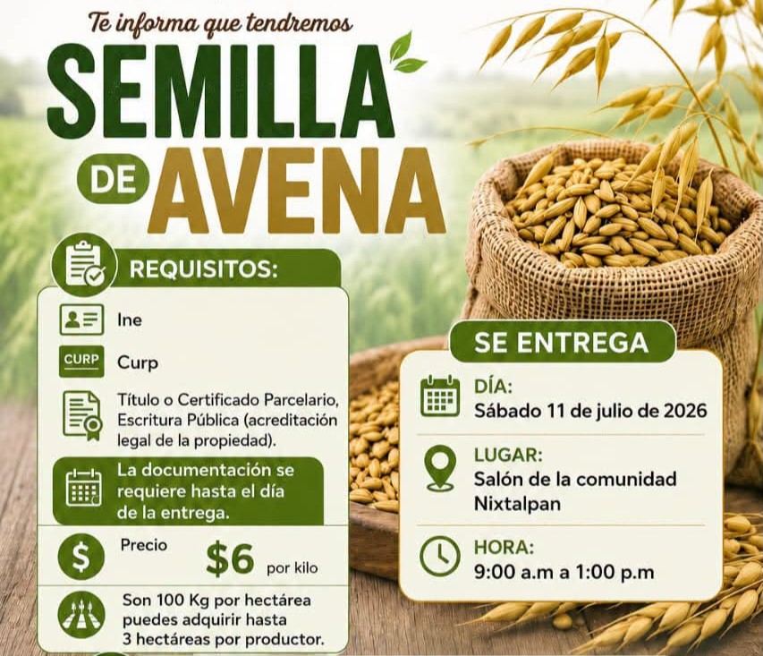 Convocan a una entrega de Semilla de Avena más en Nombre de Dios