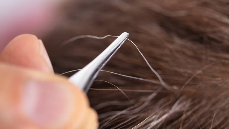 ¿Arrancarse las canas daña el cabello? Esto dice la ciencia