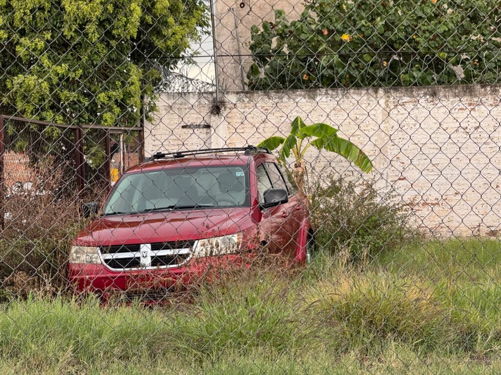 Lo mandaron a limpiar un lote baldío y halló un cuerpo sin vida
