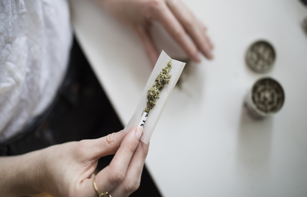 Cofepris acatará fallo de la SCJN sobre autorización para cannabis