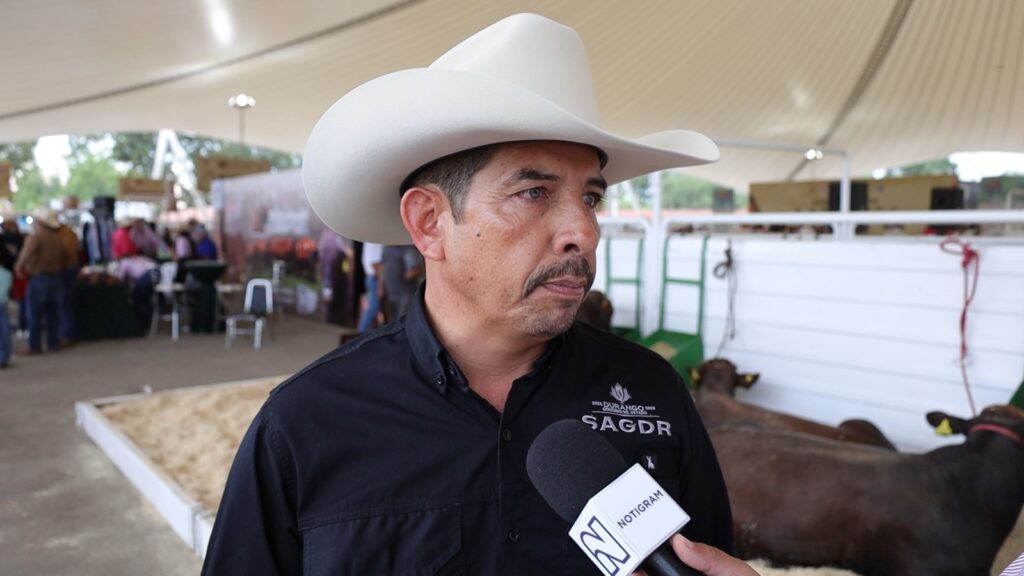 Ganaderos de Durango podrán adquirir genética Beefmaster con subsidio estatal