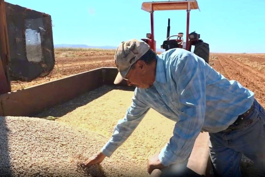 Esteban pide a Sheinbaum ampliar programa de acopio de frijol para más productores de Durango