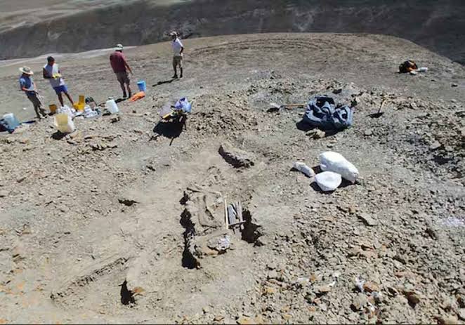 Científicos identifican una nueva especie de dinosaurio en Uruguay