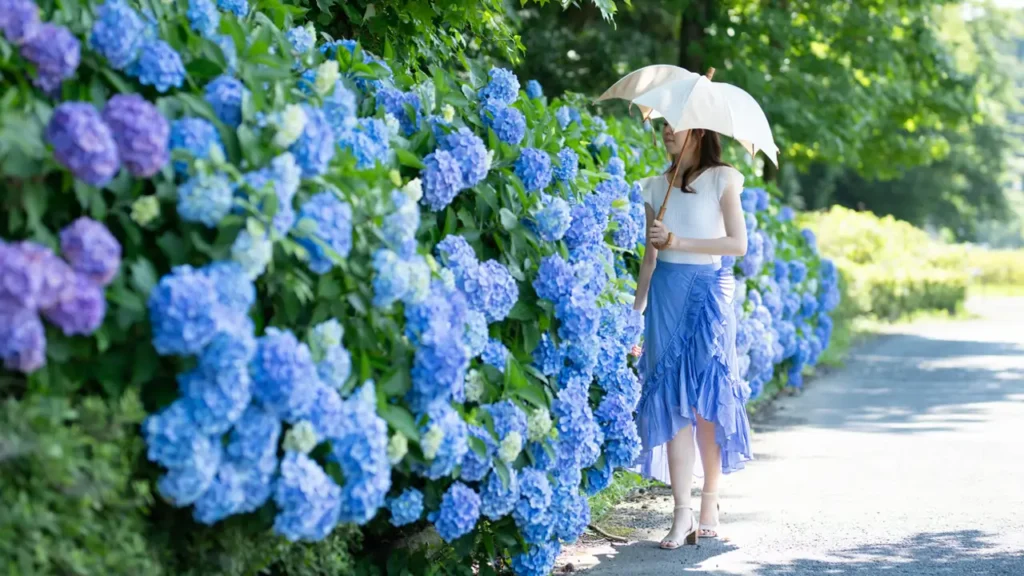 La ciencia explica por qué las flores azules son tan poco comunes