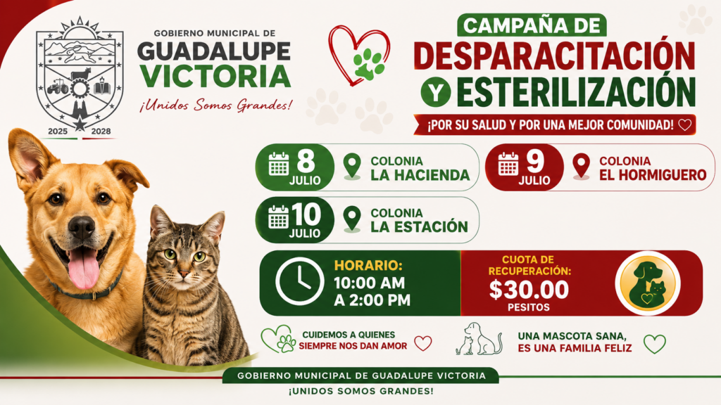 Gobierno Municipal realizará campaña de desparasitación y esterilización en tres colonias