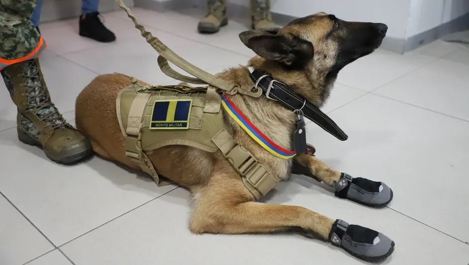 Venezuela condecora a rescatistas y binomios caninos de México por su labor tras los sismos