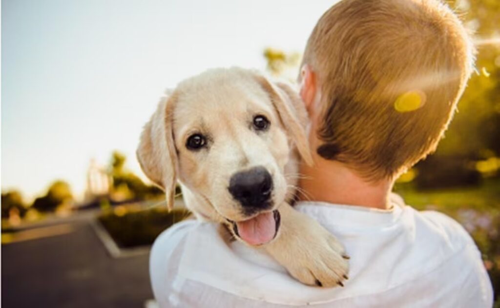 Día Mundial del Perro: ¿Por qué se celebra el 21 de julio? Este es su origen