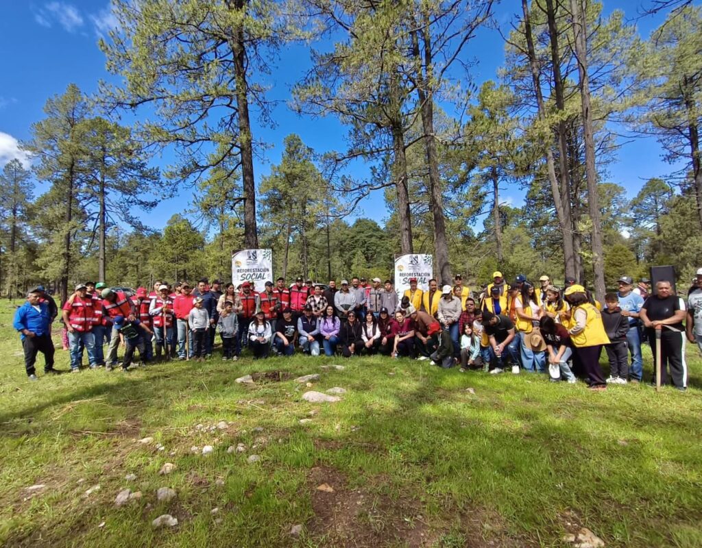 Reforestan con participación ciudadana