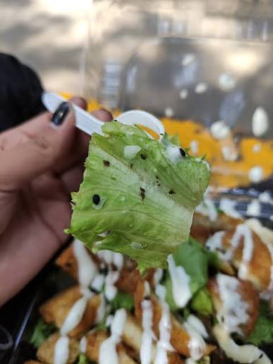 ¿Es seguro comer lechuga en México tras la alerta por ‘diarrea explosiva’?