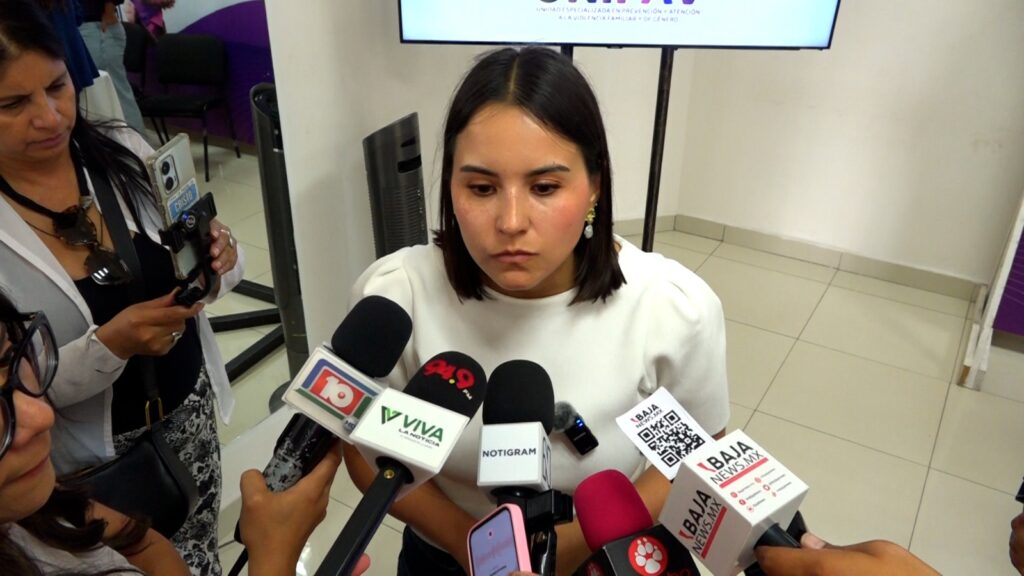 Proponen regular hospedajes en plataformas digitales para reforzar la seguridad