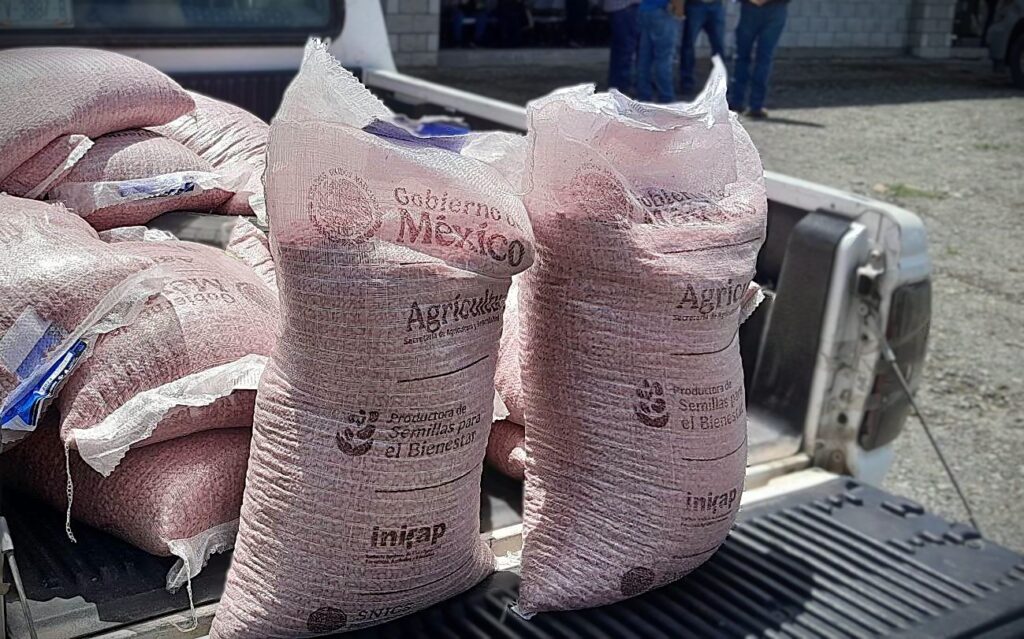 Semilla certificada de frijol brinda garantía de calidad al productor: SNICS