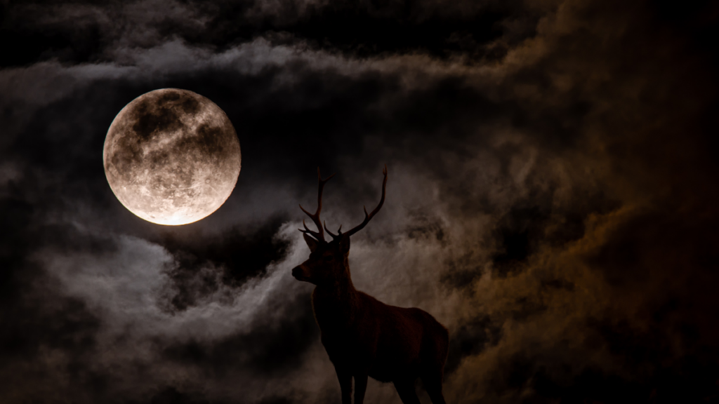 La Luna de Ciervo iluminará el cielo de México: conoce la fecha y hora