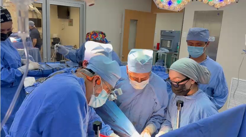 IMSS Jalisco realiza 280 trasplantes de alta complejidad en el primer semestre de 2026