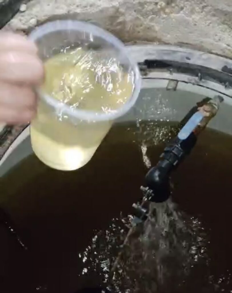 ¿El agua salió café en tu colonia? AMD explica la causa y asegura que no será recurrente