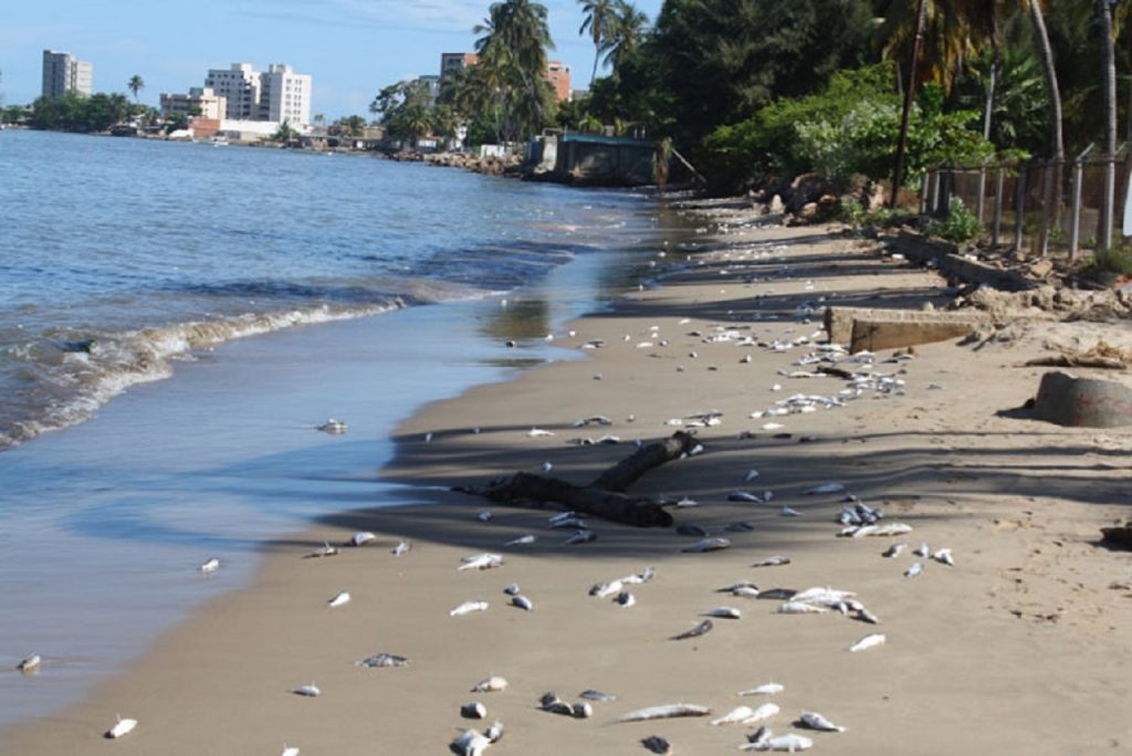 Estas son las playas que Cofepris recomienda evitar este verano