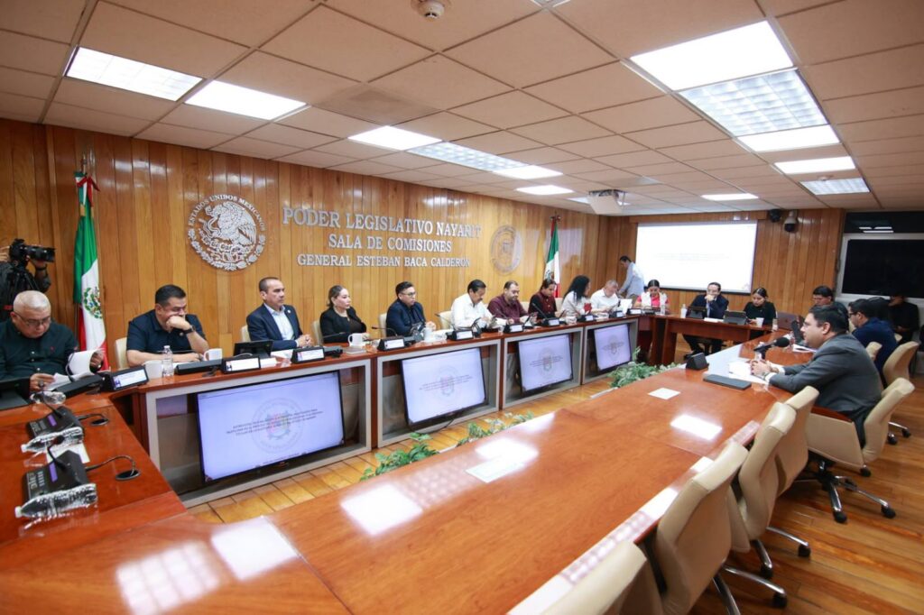 Analiza Congreso perfiles de aspirantes a la titularidad de la ASEN