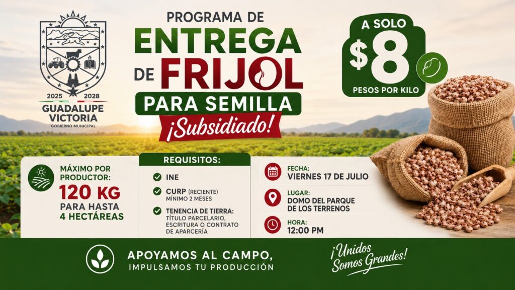 Programa estatal de frijol para semilla llegará a Gpe. Victoria con subsidio para productores
