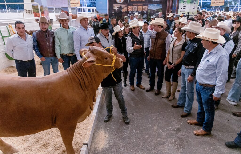 La Villista convierte a Durango en la capital nacional del ganado Beefmaster