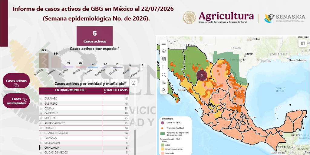 Sigue propagandose el Gusano Barrenador en el Estado, hay 3 nuevos casos en la entidad