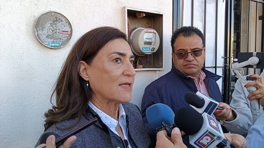 OCDE confirma que la inseguridad sigue siendo la principal preocupación en México: Paty Jiménez