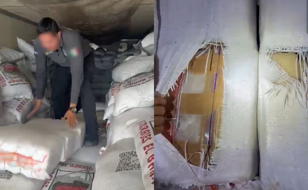 SSPC y FGR aseguran más de tres toneladas de droga en Sonora