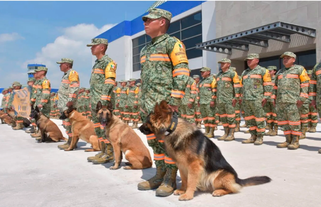 Gobierno prepara homenaje para brigadas que apoyaron a Venezuela