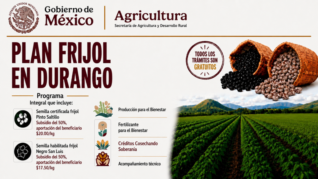 Presenta Gobierno de México el Plan Frijol para fortalecer la producción en Durango