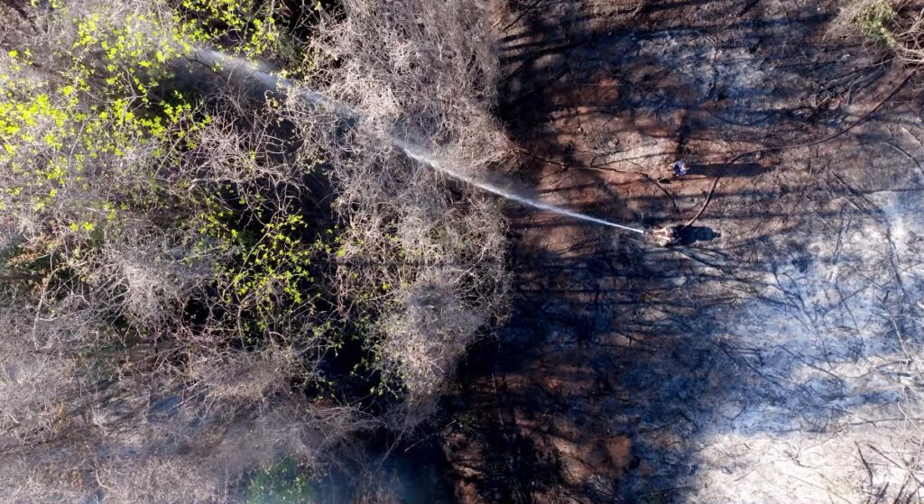 Durango reduce 87 % la superficie afectada por incendios forestales