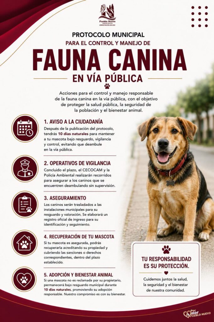 Presentan protocolo para el manejo de fauna canina